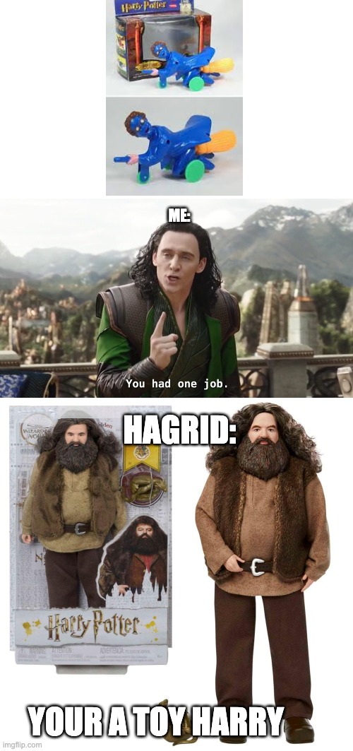 me:; hagrid:; your a toy harry | image tagged in you had one job just the one,harry potter,design fails | made w/ Imgflip meme maker