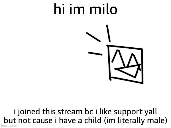 hai vros | hi im milo; i joined this stream bc i like support yall but not cause i have a child (im literally male) | made w/ Imgflip meme maker