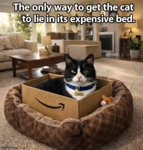 You do what you gotta do! | image tagged in cats,the most interesting cat in the world,box,if you know what i mean | made w/ Imgflip meme maker