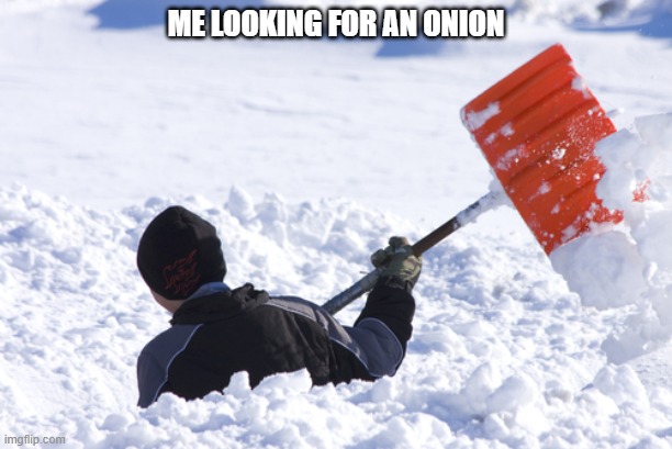I must find it | me looking for an onion | image tagged in blizzard,onion,onions,memes,vegetable,search | made w/ Imgflip meme maker