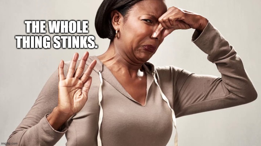 The whole thing stinks. | made w/ Imgflip meme maker