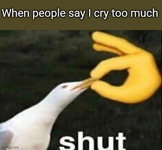 SHUT | When people say I cry too much | image tagged in shut | made w/ Imgflip meme maker