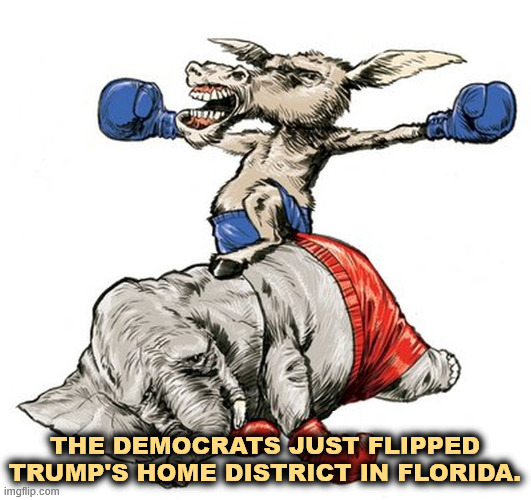 Mar a Lago is Democrat Country! | The Democrats just flipped Trump's home district in Florida. | image tagged in trump,florida,democratic,republican,losers | made w/ Imgflip meme maker