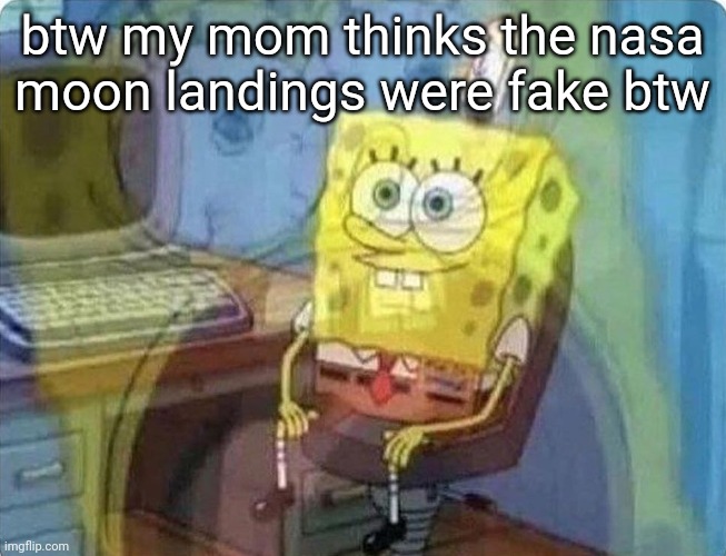 they ain't fake mythbusters proved it | btw my mom thinks the nasa moon landings were fake btw | image tagged in spongebob screaming inside | made w/ Imgflip meme maker