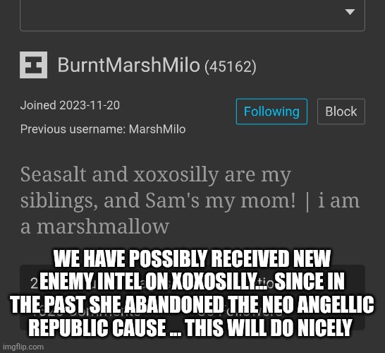 We have possibly received new enemy Intel on xoxosilly...  Since in the past she abandoned the neo angellic Republic cause ... This will do nicely | made w/ Imgflip meme maker