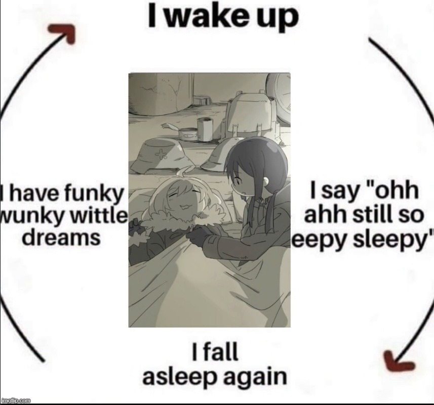 hello chat | image tagged in sleeping cycle | made w/ Imgflip meme maker