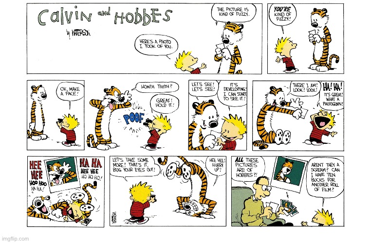 image tagged in calvin and hobbes,comics | made w/ Imgflip meme maker