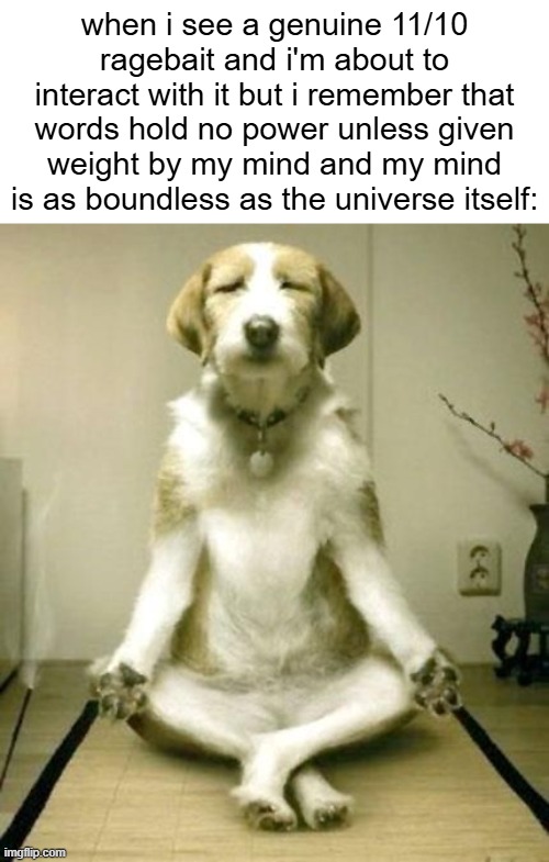 when i see a genuine 11/10 ragebait and i'm about to interact with it but i remember that words hold no power unless given weight by my mind and my mind is as boundless as the universe itself: | made w/ Imgflip meme maker