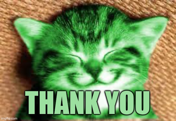 happy RayCat | Thank you | image tagged in happy raycat | made w/ Imgflip meme maker