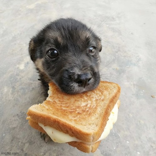 maybe if i live long enough i'll be able to look back and wonder why i even felt this way in the first place | made w/ Imgflip meme maker