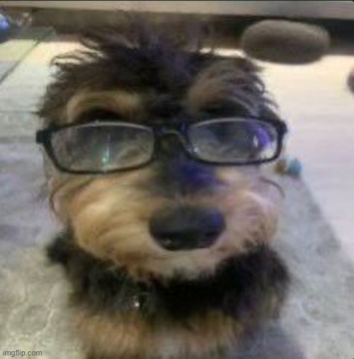 one day i'll be gone but maybe i'll have done something by then | made w/ Imgflip meme maker