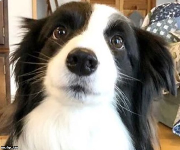 i'm not totally inept | made w/ Imgflip meme maker