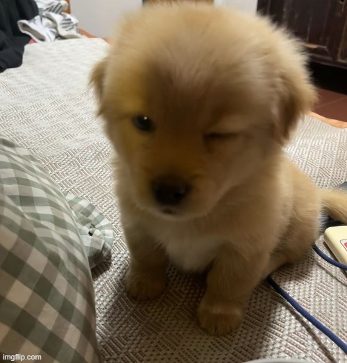 there's always tomorrow | made w/ Imgflip meme maker