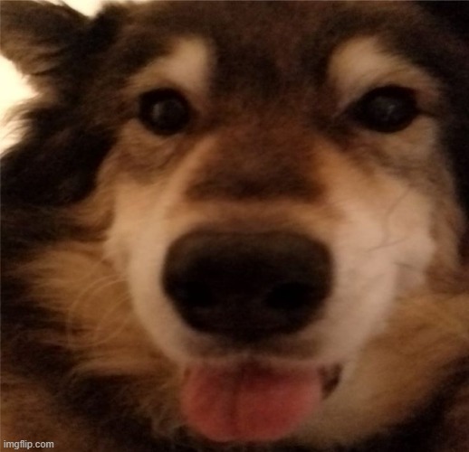 you and i will both be okay eventually | made w/ Imgflip meme maker