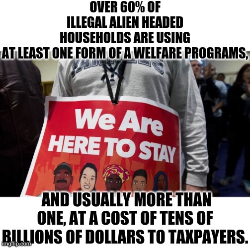 Where Your Money's Going | image tagged in memes,where,your,taxes,go,illegal immigrants | made w/ Imgflip meme maker