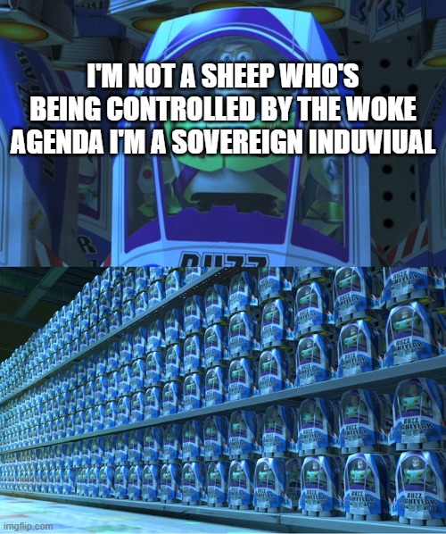 Buzz Lightyear Hypersleep | I'm not a sheep who's being controlled by the woke agenda i'm a sovereign induviual | image tagged in buzz lightyear hypersleep | made w/ Imgflip meme maker