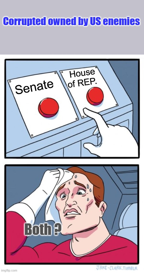 2 wings of the same bird. | Corrupted owned by US enemies; House of REP. Senate; Both ? | image tagged in memes,two buttons | made w/ Imgflip meme maker