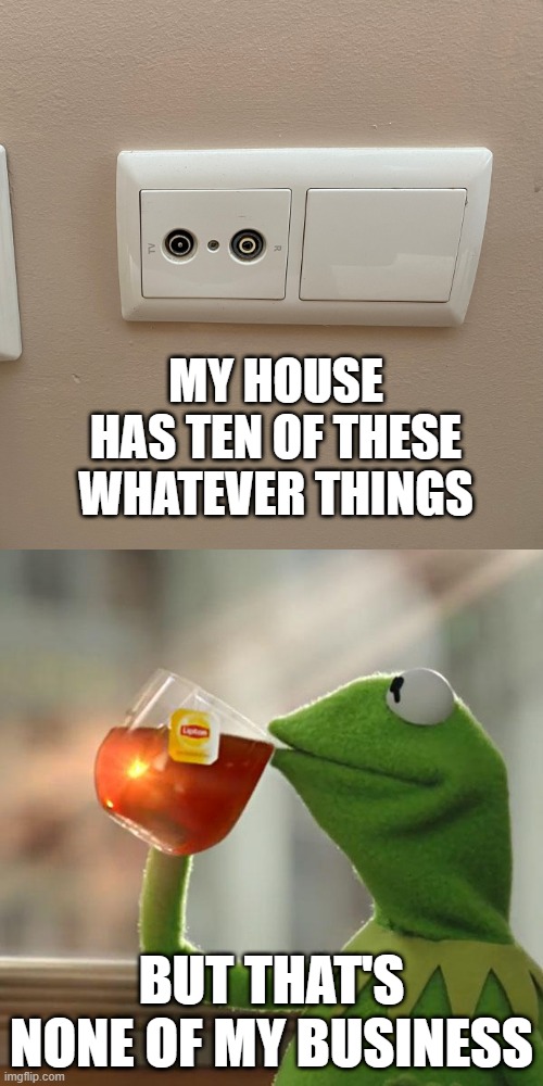 But That's None Of My Business Meme | MY house has ten of these whatever things; But that's none of my business | image tagged in memes,but that's none of my business,kermit the frog | made w/ Imgflip meme maker