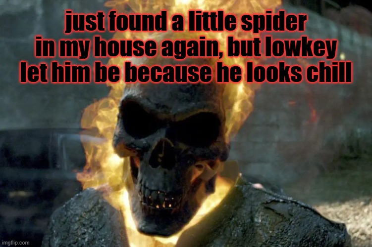 he better not enter my ear while i sleep or smth | just found a little spider in my house again, but lowkey let him be because he looks chill | image tagged in the ghost rider template | made w/ Imgflip meme maker