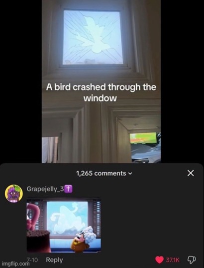 “Just admiring your window, it’s in the shape of a bird” | made w/ Imgflip meme maker