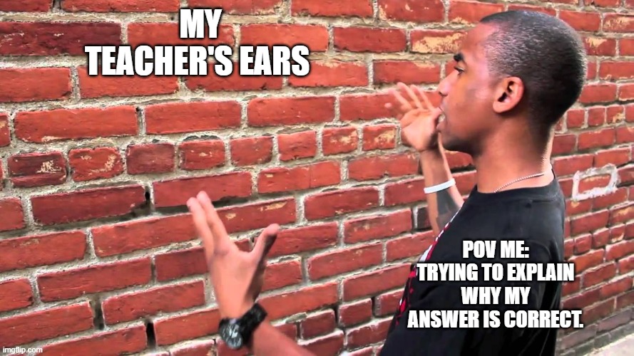 after exam | my teacher's ears; POV me: trying to explain why my answer is correct. | image tagged in talking to wall | made w/ Imgflip meme maker