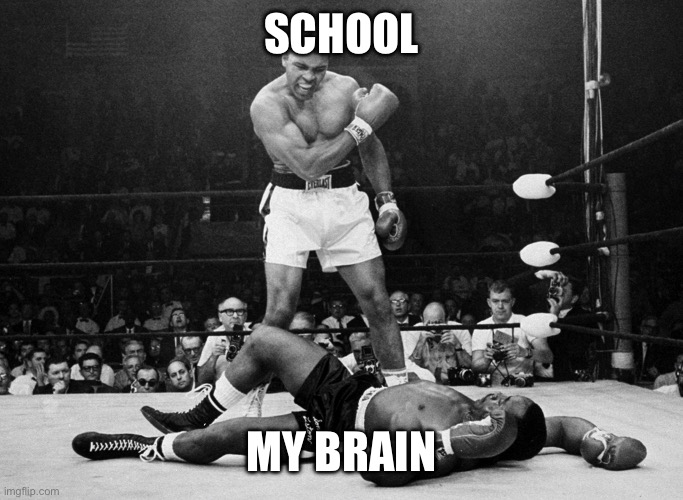 Muhammad Ali | school; my brain | image tagged in muhammad ali | made w/ Imgflip meme maker