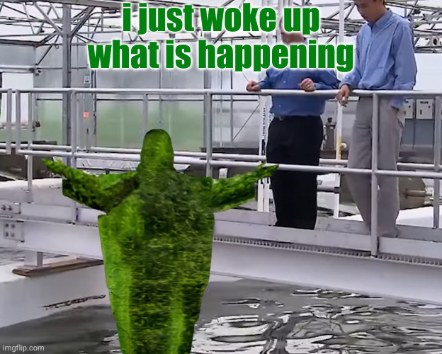Aljaesus | i just woke up what is happening | image tagged in aljaesus | made w/ Imgflip meme maker