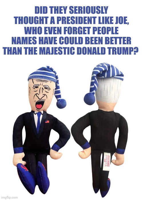 SLEEPY JOE | Did they Seriously thought a president like Joe, who even forget people names have could been better than the majestic Donald Trump? | image tagged in sleepy joe | made w/ Imgflip meme maker