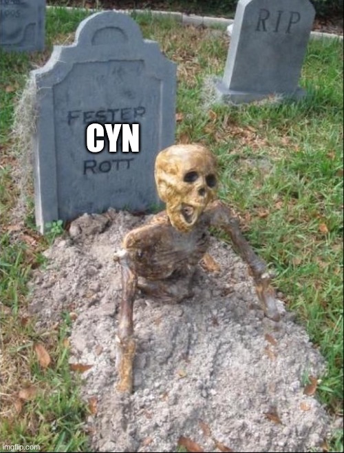 Grave yard | Cyn | image tagged in grave yard | made w/ Imgflip meme maker