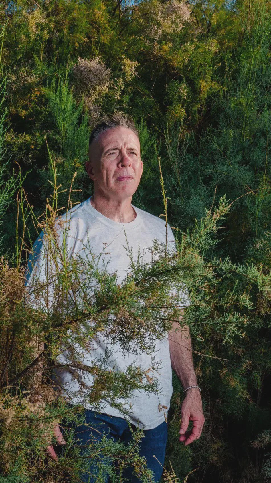 Pdfs of the bush Blank Meme Template