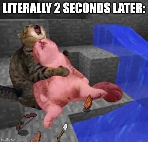 Dead minecraft cat meme | literally 2 seconds later: | image tagged in dead minecraft cat meme | made w/ Imgflip meme maker