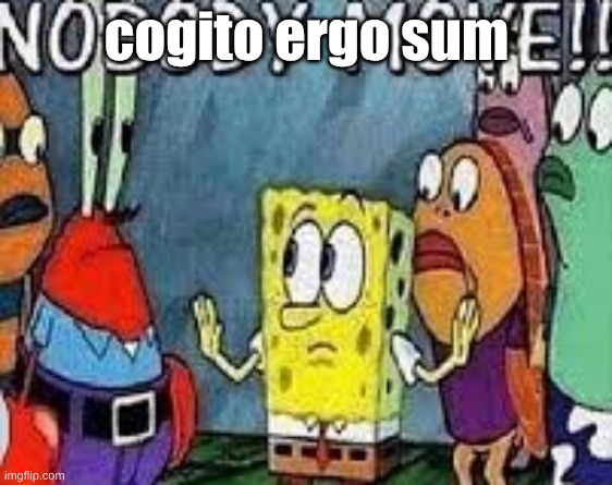 NOBODY MOVE!! | cogito ergo sum | image tagged in nobody move | made w/ Imgflip meme maker