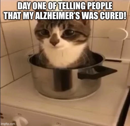 :) | Day one of telling people that my Alzheimer’s was cured! | image tagged in alzheimers,fun | made w/ Imgflip meme maker