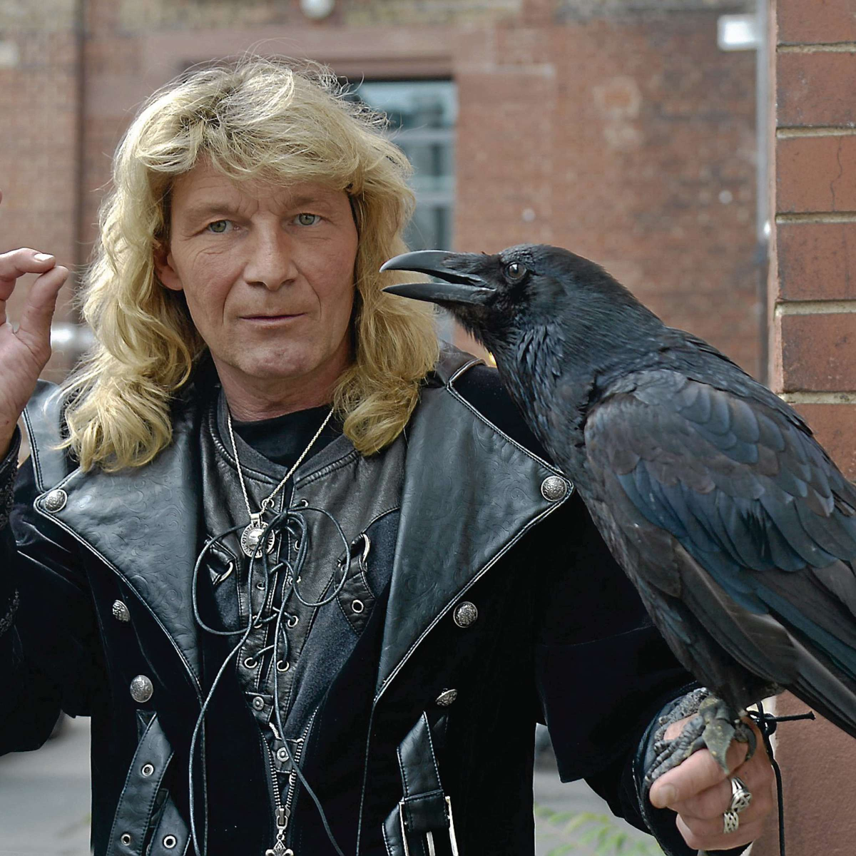 Vincent Raven Blank Meme Template