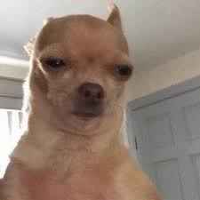 So true Blank Meme Template