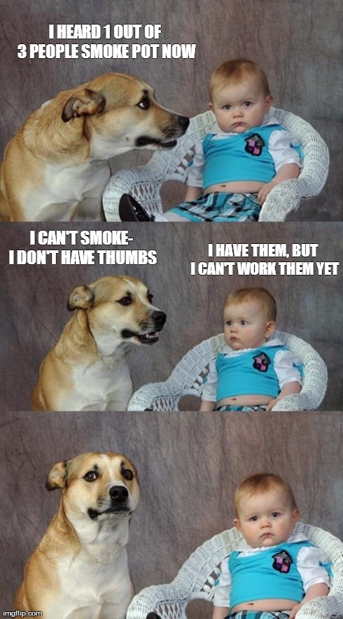 Dad Joke Dog | I HEARD 1 OUT OF 3 PEOPLE SMOKE POT NOW I HAVE THEM, BUT I CAN'T WORK THEM YET I CAN'T SMOKE- I DON'T HAVE THUMBS | image tagged in memes,dad joke dog | made w/ Imgflip meme maker