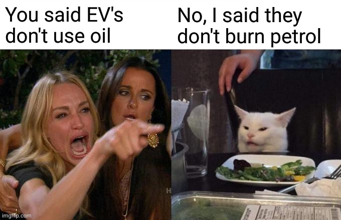 Woman Yelling At Cat | You said EV's don't use oil; No, I said they don't burn petrol | image tagged in memes,woman yelling at cat | made w/ Imgflip meme maker