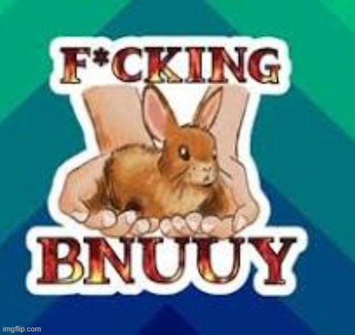 BNUUY | image tagged in bnuuy | made w/ Imgflip meme maker
