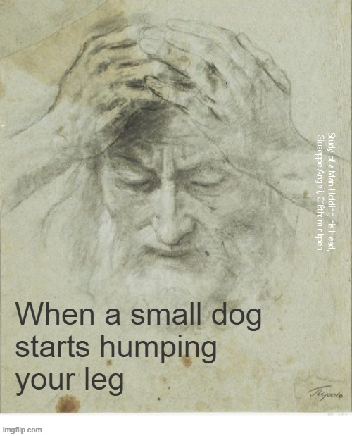 yeh | Study of a Man Holding his Head,
Giuseppe Angeli, C18th: minkpen; When a small dog
starts humping
your leg | image tagged in art memes,drawings,dogs,sex | made w/ Imgflip meme maker