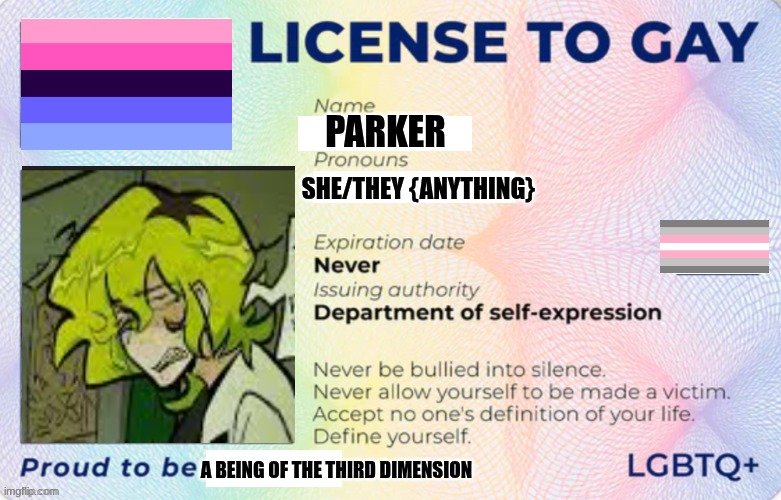I know there a LGBT stream, I'm just lazy. | Parker; she/they {anything}; a being of the third dimension | image tagged in license to gay,lgbtq,pride,support | made w/ Imgflip meme maker