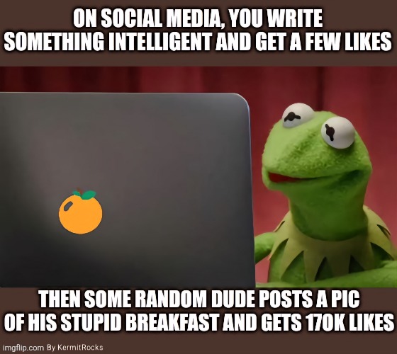 KermitRocks | image tagged in memes | made w/ Imgflip meme maker