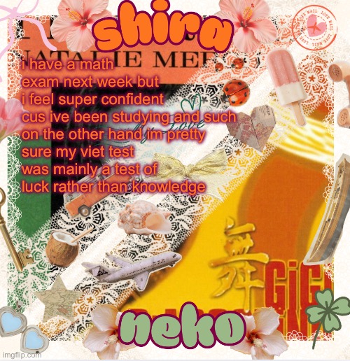 neko and shira shared temp <3 | i have a math exam next week but i feel super confident cus ive been studying and such

on the other hand im pretty sure my viet test was mainly a test of luck rather than knowledge | image tagged in neko and shira shared temp 3 | made w/ Imgflip meme maker