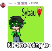 no one using ts | image tagged in no one using ts | made w/ Imgflip meme maker