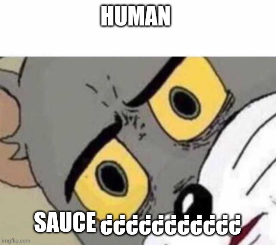 Tom Cat Unsettled Close up | Human Sauce ¿¿¿¿¿¿¿¿¿¿¿ | image tagged in tom cat unsettled close up | made w/ Imgflip meme maker