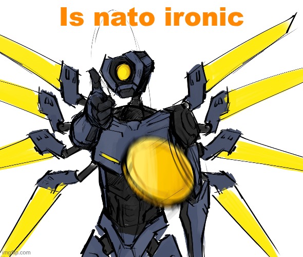 woe coin be upon ye | Is nato ironic | image tagged in woe coin be upon ye | made w/ Imgflip meme maker