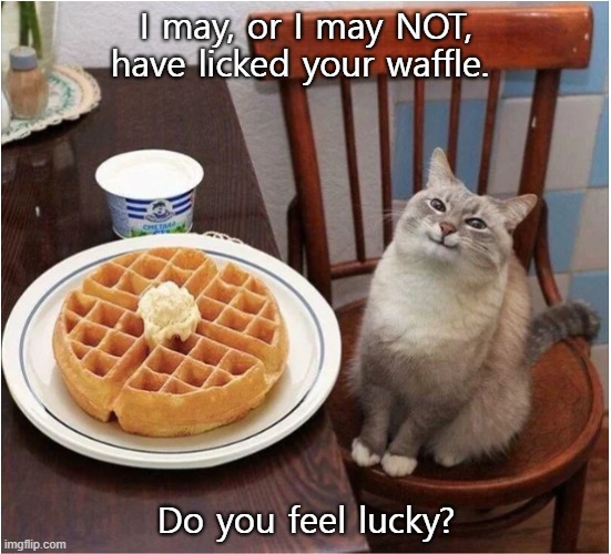 Waffle | I may, or I may NOT, have licked your waffle. Do you feel lucky? | image tagged in cats | made w/ Imgflip meme maker