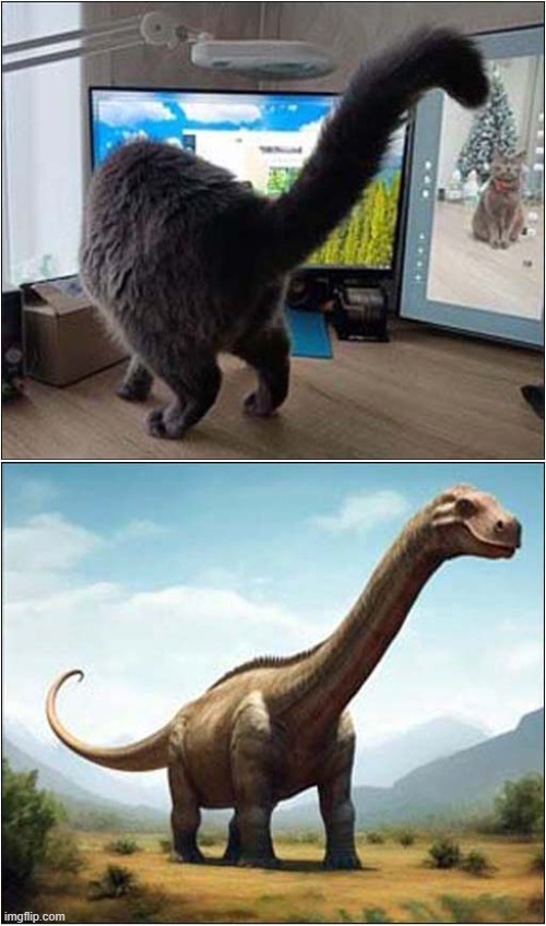 A Talented Cats Impression Of A Dinoaur ! | image tagged in cats,impression,dinosaur | made w/ Imgflip meme maker