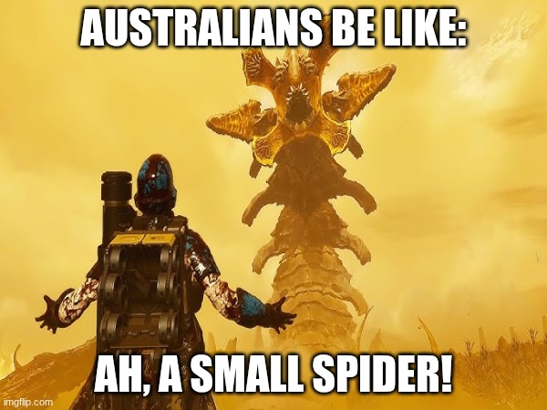 Australians | Australians be like:; Ah, a small spider! | image tagged in dive,not funny | made w/ Imgflip meme maker