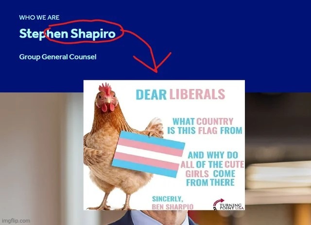 image tagged in msmg | made w/ Imgflip meme maker