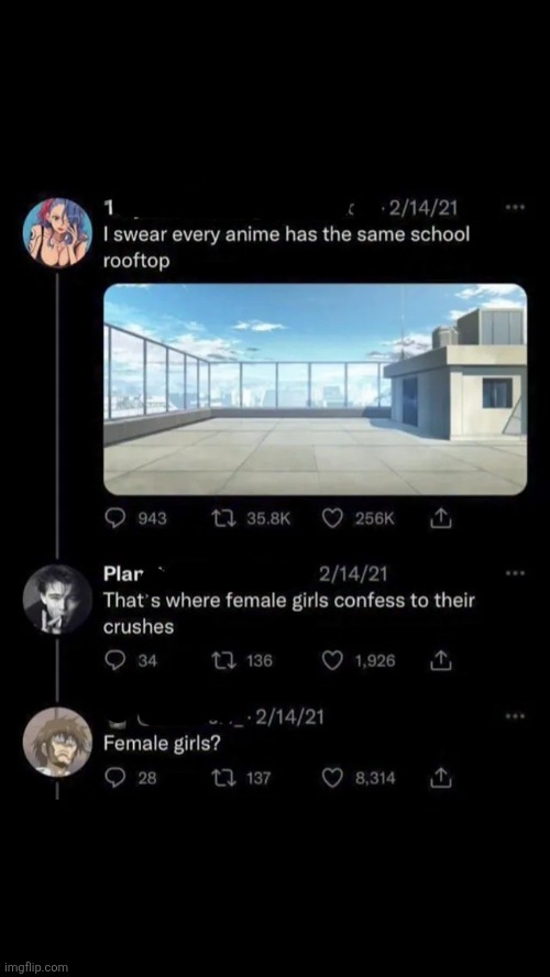 "Homo sapiens humans" | image tagged in msmg | made w/ Imgflip meme maker